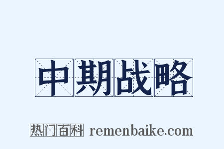 中期战略是什么意思的图片